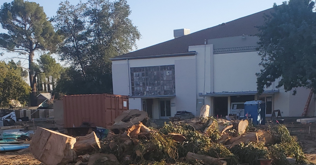 Tree Removal